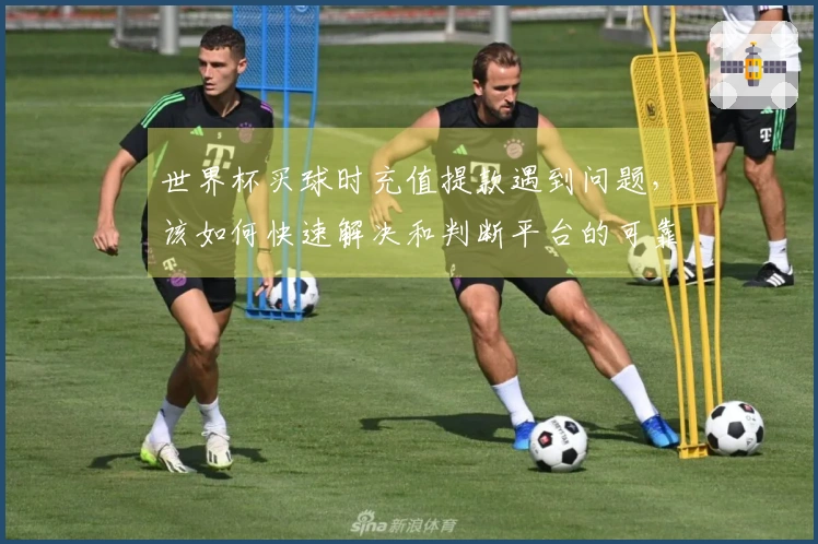 世界杯买球时充值提款遇到问题，该如何快速解决和判断平台的可靠性？