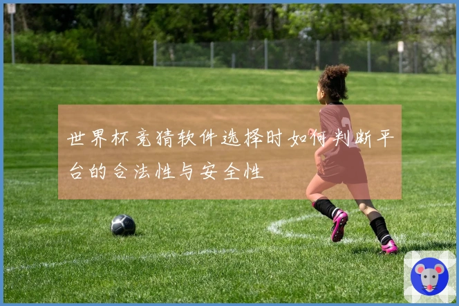 世界杯竞猜软件选择时如何判断平台的合法性与安全性