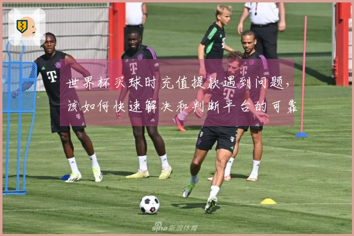 世界杯买球时充值提款遇到问题，该如何快速解决和判断平台的可靠性？